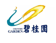 滨江碧桂园地产